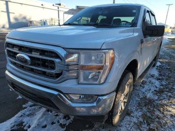 FORD F-150 2021 1FTFW1E57MKD31641 image