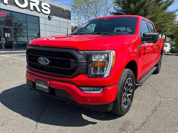 FORD F-150 2021 1FTEW1EP8MKE85529 image