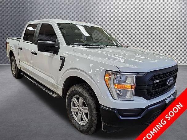 FORD F-150 2021 1FTEW1EB0MKE26589 image