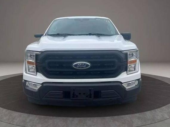 FORD F-150 2021 1FTEX1CP4MKE07846 image