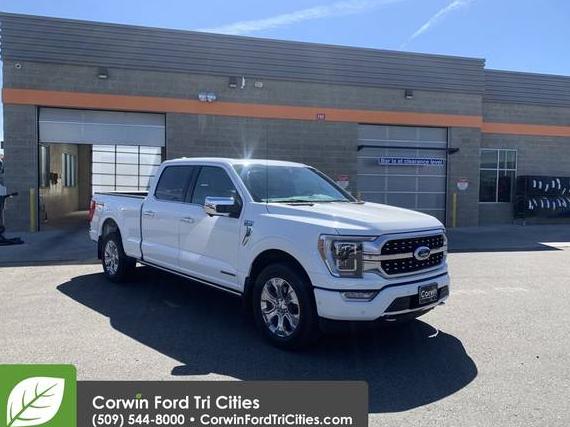 FORD F-150 2021 1FTFW1ED6MFA09296 image