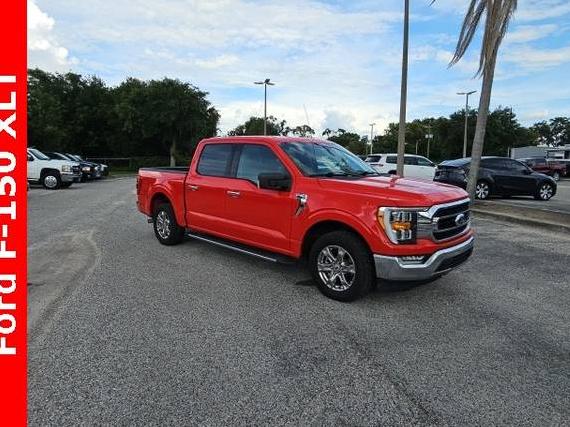 FORD F-150 2021 1FTEW1CB2MKD61473 image