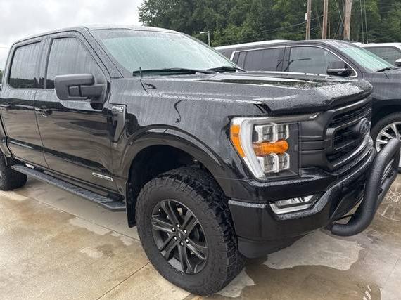 FORD F-150 2021 1FTFW1E17MFC20710 image