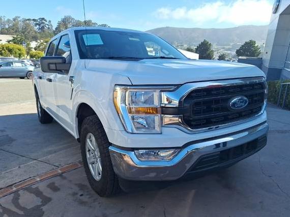 FORD F-150 2021 1FTEW1CPXMKD59949 image