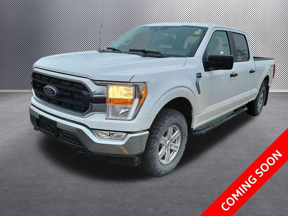 FORD F-150 2021 1FTFW1E53MFA62286 image