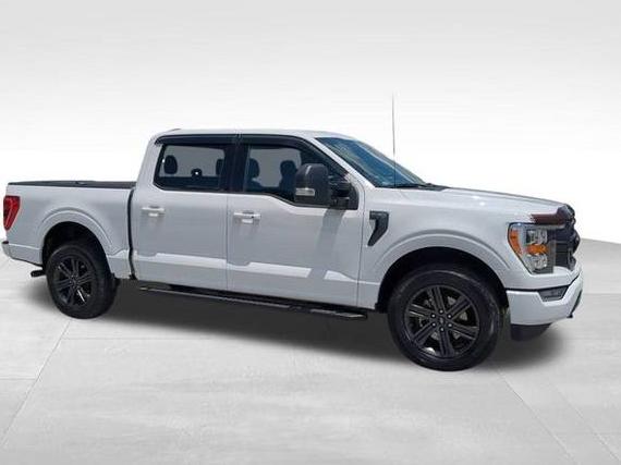 FORD F-150 2021 1FTEW1EP9MKD45473 image