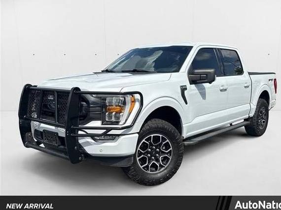 FORD F-150 2021 1FTEW1EP5MKD14415 image