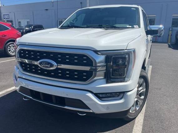 FORD F-150 2021 1FTFW1ED8MFB66280 image