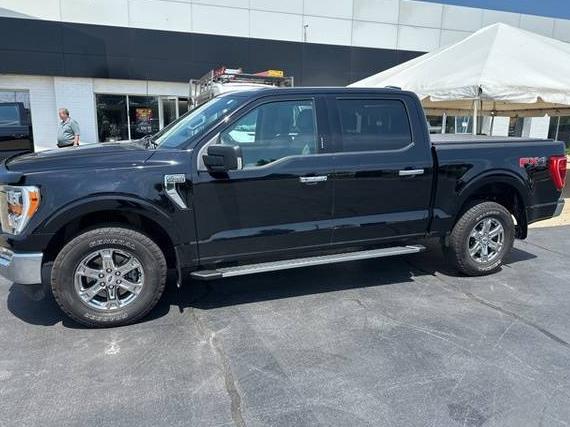 FORD F-150 2021 1FTEW1EP6MFB68616 image