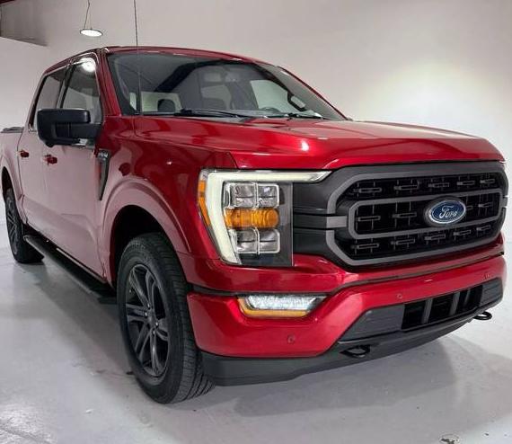 FORD F-150 2021 1FTEW1EP5MFC93686 image