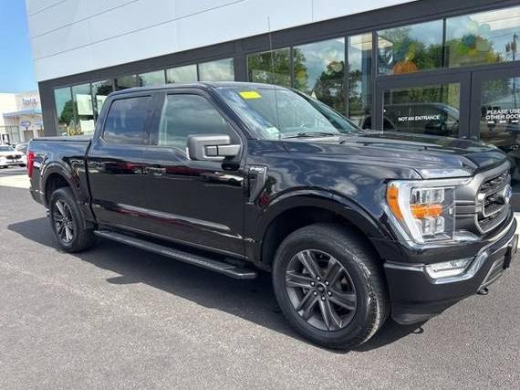 FORD F-150 2021 1FTEW1EP0MFA06707 image