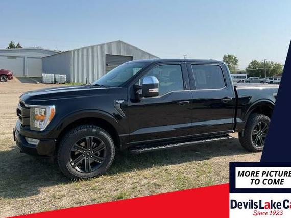 FORD F-150 2021 1FTEW1EP3MKF09848 image