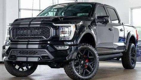 FORD F-150 2021 1FTFW1E50MFB65097 image
