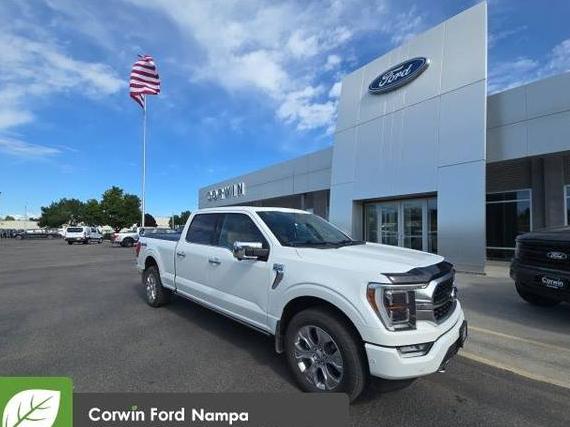 FORD F-150 2021 1FTFW1E83MFB25994 image