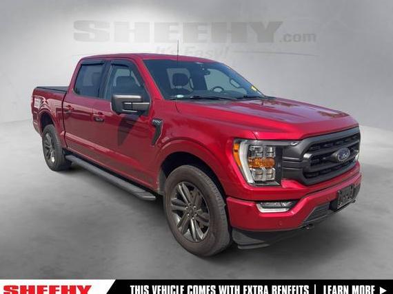 FORD F-150 2021 1FTFW1E89MKD44210 image