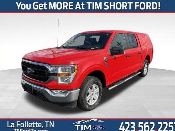 FORD F-150 2021 1FTEW1EB0MKD00412 image