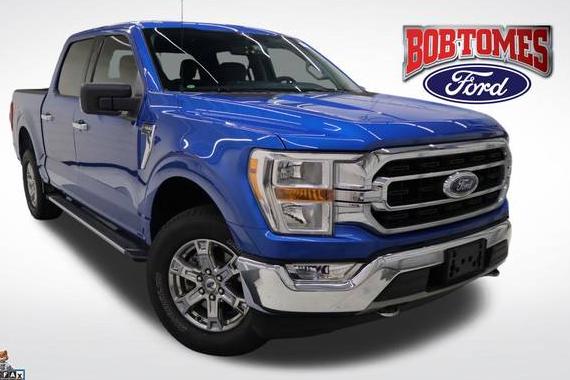 FORD F-150 2021 1FTEW1EP1MFA50621 image