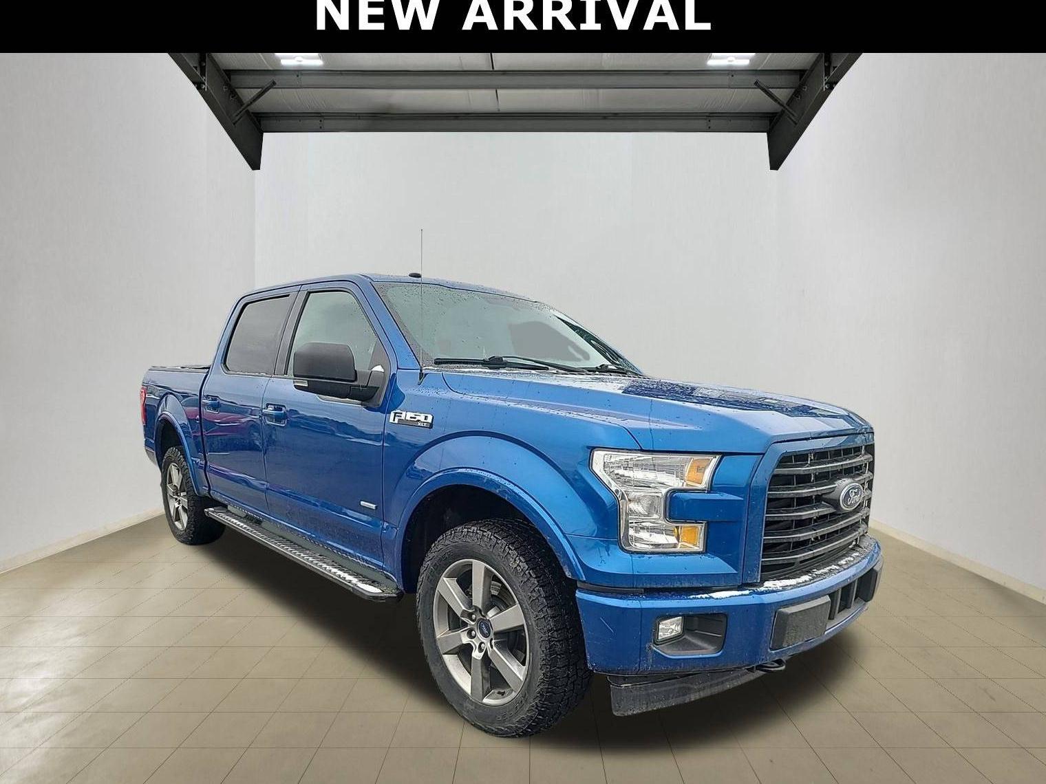 FORD F-150 2017 1FTEW1EP8HFC44035 image