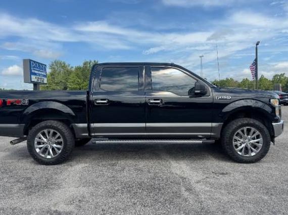FORD F-150 2017 1FTEW1EF1HKC57790 image