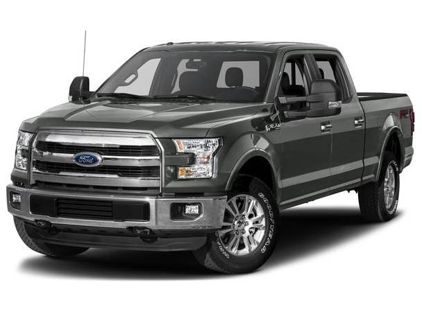 FORD F-150 2017 1FTEW1EG9HFC74967 image