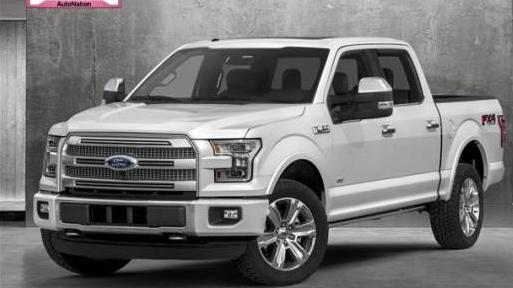 FORD F-150 2017 1FTEW1EG7HFA25034 image