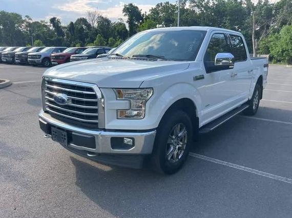 FORD F-150 2017 1FTEW1EP6HFC74019 image