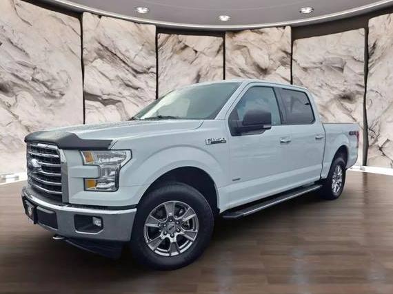 FORD F-150 2017 1FTEW1EG1HFA54254 image