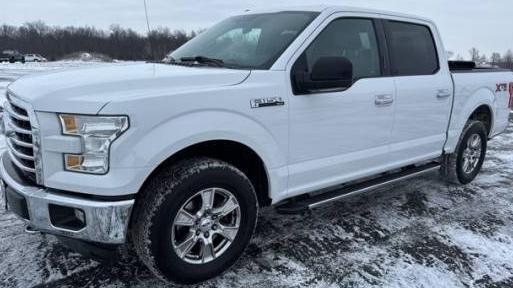 FORD F-150 2017 1FTEW1E89HFA28445 image