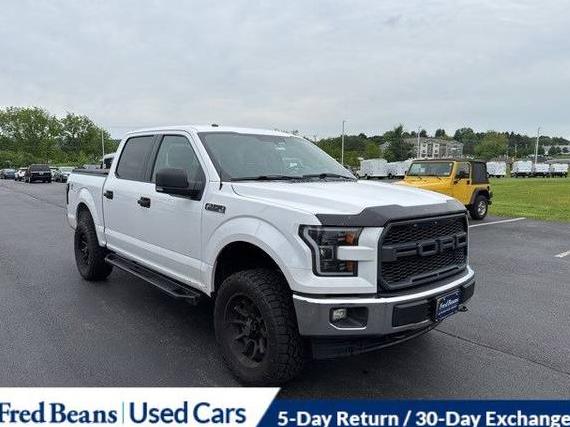 FORD F-150 2017 1FTEW1EF5HKC87293 image