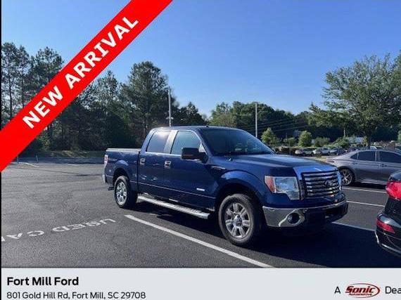 FORD F-150 2012 1FTFW1CT0CFA01462 image