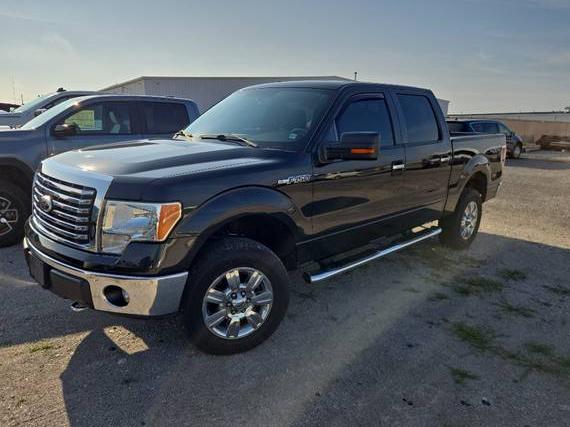 FORD F-150 2012 1FTFW1EF1CFB12805 image