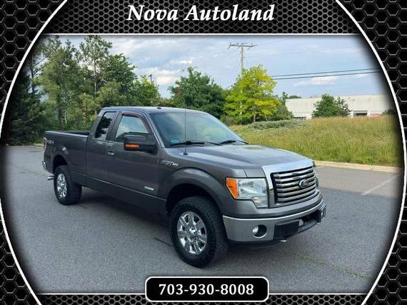 FORD F-150 2012 1FTFX1ET9CFA98560 image