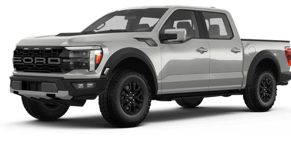 FORD F-150 2024 1FTFW1RJ9RFB91843 image