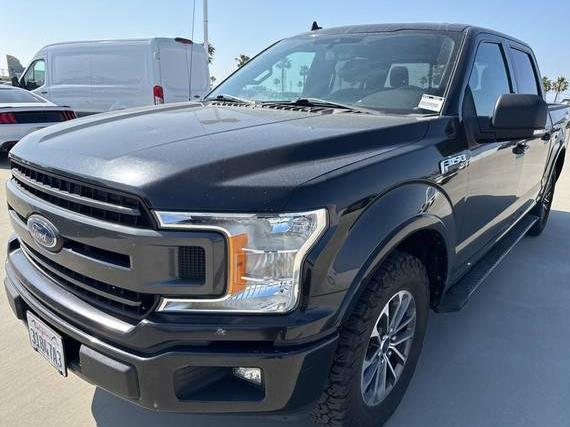 FORD F-150 2020 1FTEW1CP3LKD24667 image
