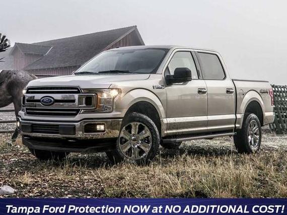 FORD F-150 2020 1FTEW1E4XLFA55014 image