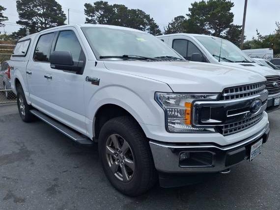FORD F-150 2020 1FTEW1E4XLKE65920 image