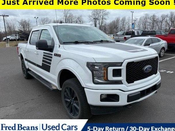 FORD F-150 2020 1FTEW1EP1LFC15162 image