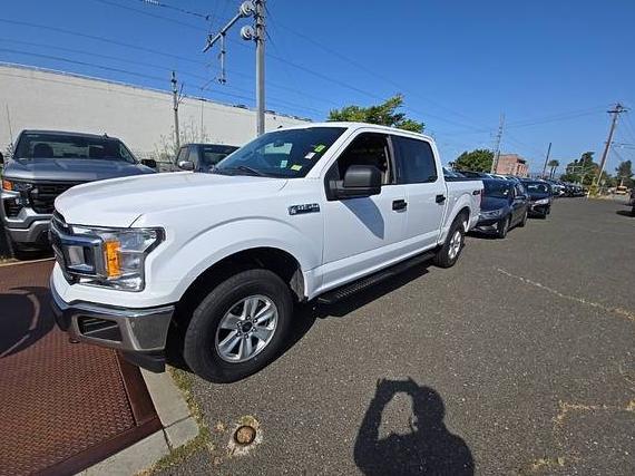 FORD F-150 2020 1FTEW1EP7LKE13185 image