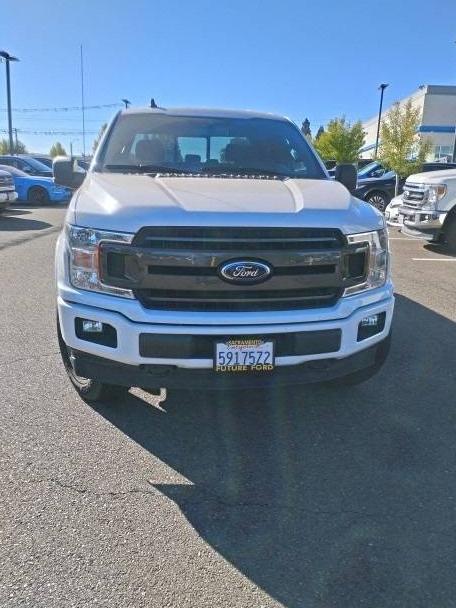 FORD F-150 2020 1FTEW1EP8LFA40523 image