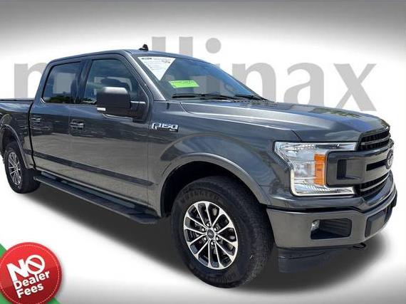FORD F-150 2020 1FTEW1EP5LFC47886 image