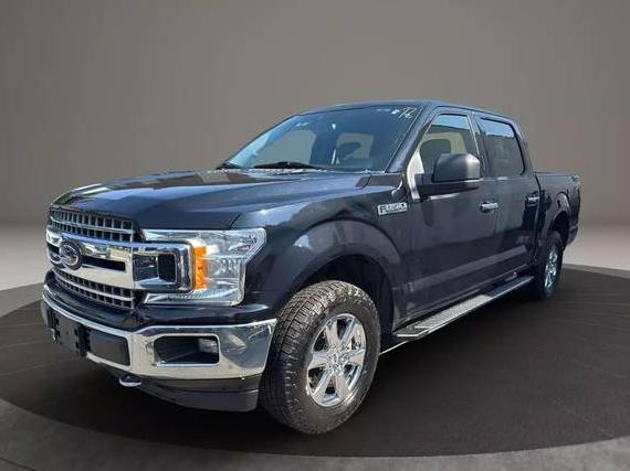 FORD F-150 2020 1FTEW1EB9LFA74412 image