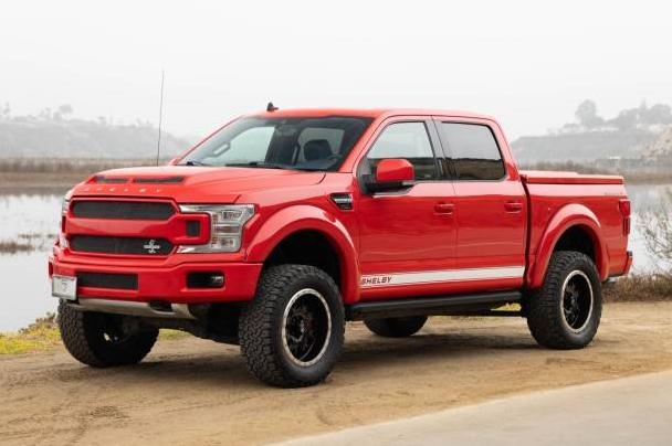 FORD F-150 2020 1FTEW1E51LFA29829 image