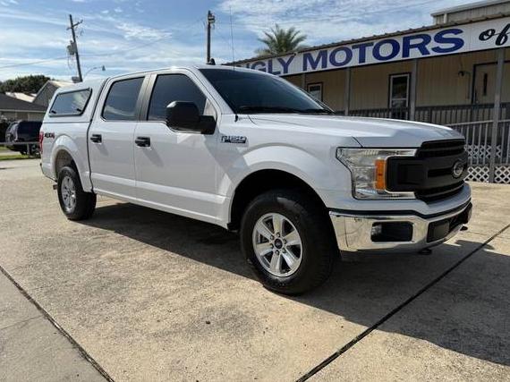 FORD F-150 2020 1FTEW1EPXLKD06177 image