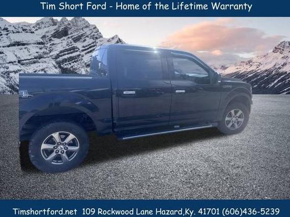 FORD F-150 2020 1FTEW1EP6LFC40333 image
