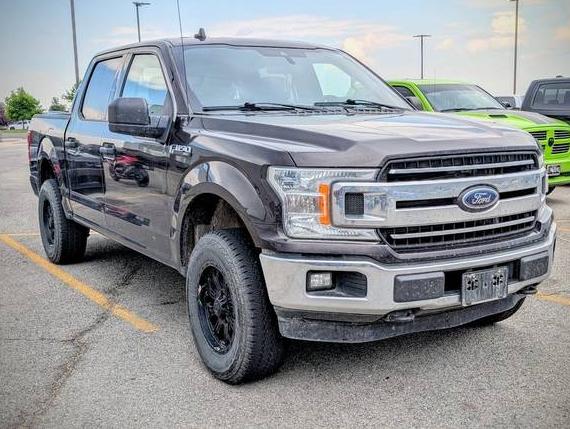 FORD F-150 2020 1FTEW1E4XLKD11384 image