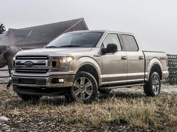 FORD F-150 2020 1FTEW1EP8LFC65315 image