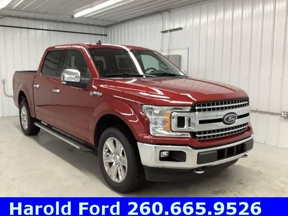 FORD F-150 2020 1FTEW1EP1LFC32477 image