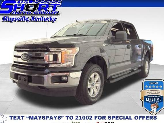 FORD F-150 2020 1FTEW1EB3LKE53462 image