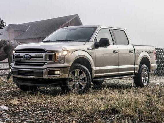 FORD F-150 2020 1FTEW1EP0LKD64914 image