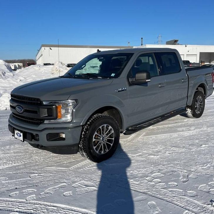 FORD F-150 2020 1FTEW1EP9LKD93716 image